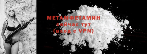 прущие грибы Верея