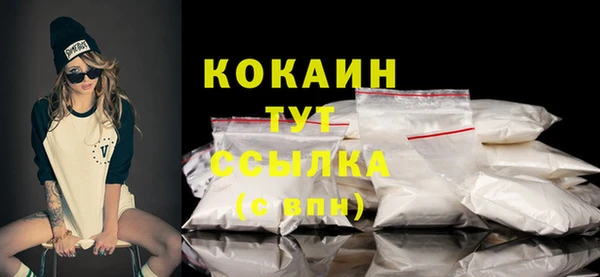 прущие грибы Верея