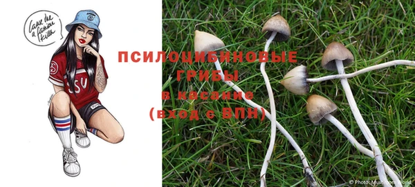 ГАЛЛЮЦИНОГЕННЫЕ ГРИБЫ Богородицк
