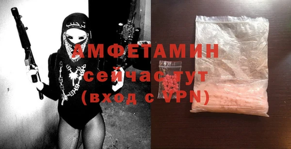 прущие грибы Верея