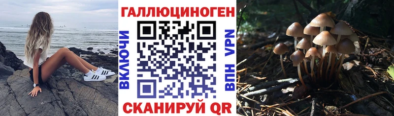 Галлюциногенные грибы MAGIC MUSHROOMS  Сретенск 