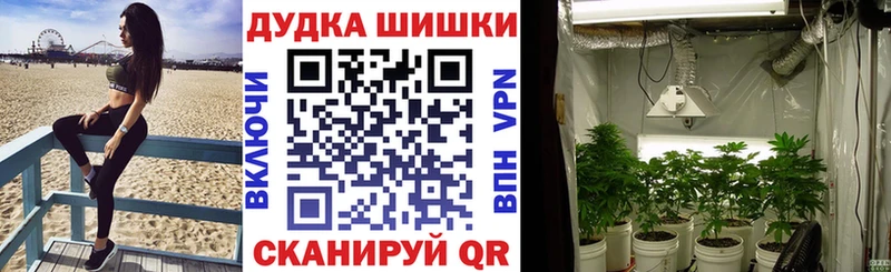Бошки марихуана марихуана  hydra как зайти  Сретенск  даркнет сайт 
